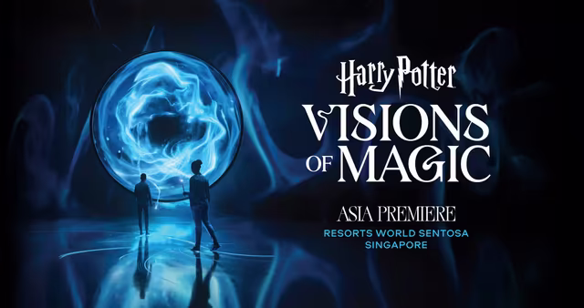 Harry Potter: Visions of Magic