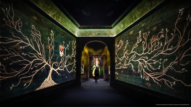Harry Potter: Visions of Magic